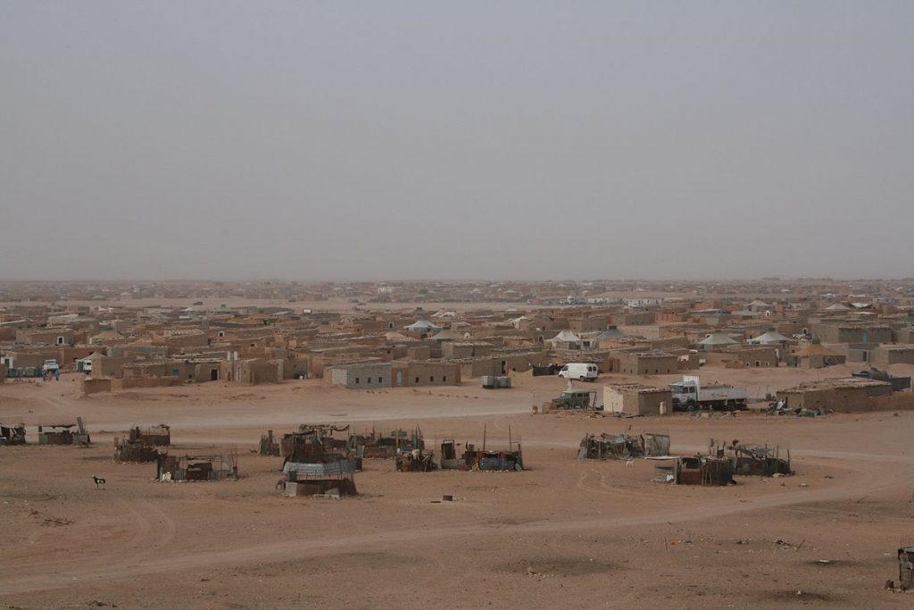 Settled Wanderers, creativity andw resaistence in Western Sahara